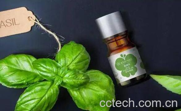  罗勒精油的功效与作用-1