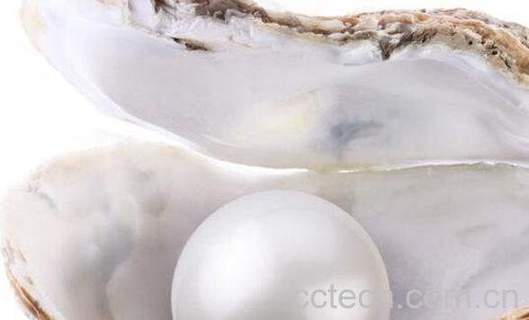 淡水珍珠和海水珍珠的区别-0