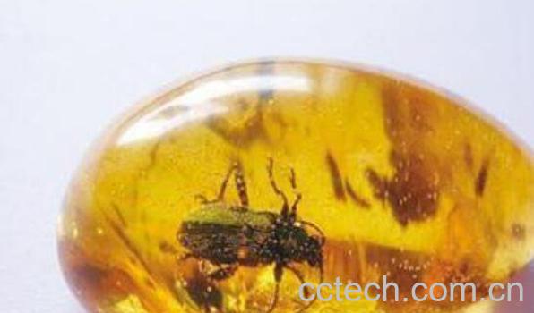 琥珀的功效与作用有哪些-1