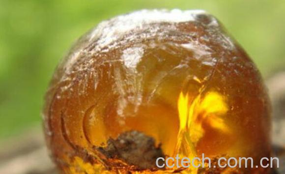 琥珀的功效与作用有哪些-0