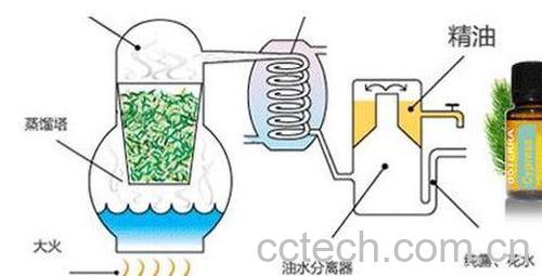 基础油和精油的区别-1