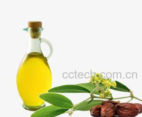 荷荷巴油的功效与作用-1