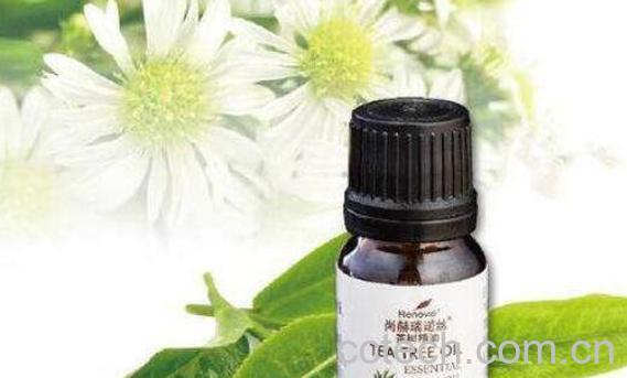 茶树精油怎么用 茶树精油的功效与作用-0