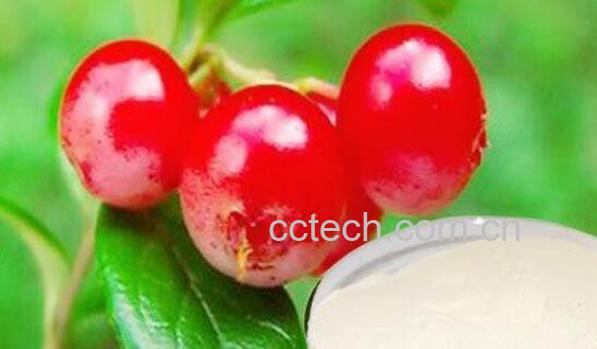 熊果苷的功效与作用-1