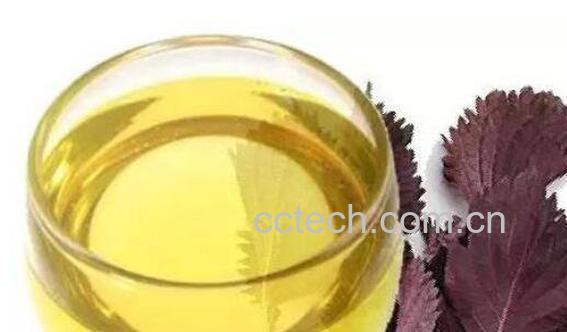 紫苏油的功效与作用-0