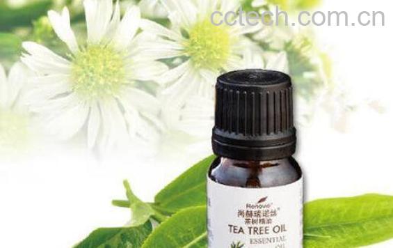 茶树精油有哪些功效 茶树精油有哪些作用-1