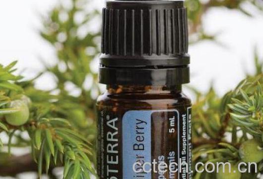 杜松精油的功效与作用-0