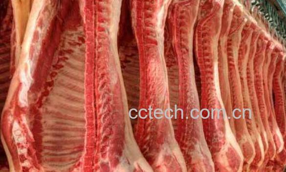 回民为什么不吃猪肉-1