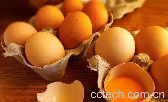 补脑的食物有哪些 能补脑提高记忆力的食物-1