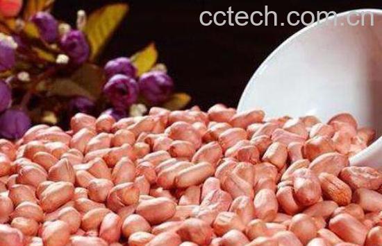 补脑的食物有哪些 能补脑提高记忆力的食物-0