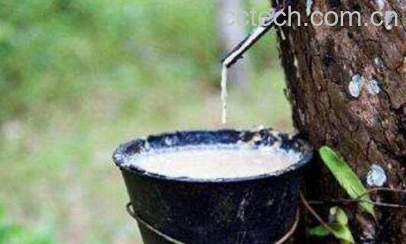 天然橡胶的作用 天然橡胶的用途有哪些-1