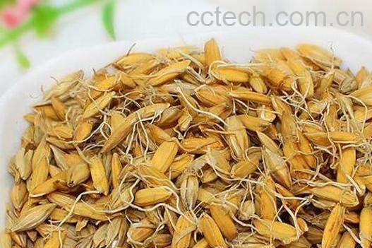 回奶的食物有哪些 回奶的食物一览表-0