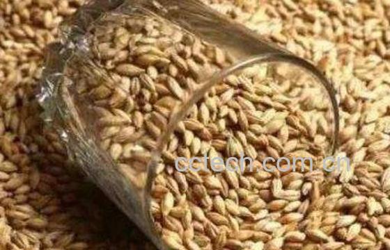 回奶的食物有哪些 回奶的食物一览表-1