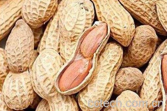 催奶的食物有哪些 什么东西催奶最好-0