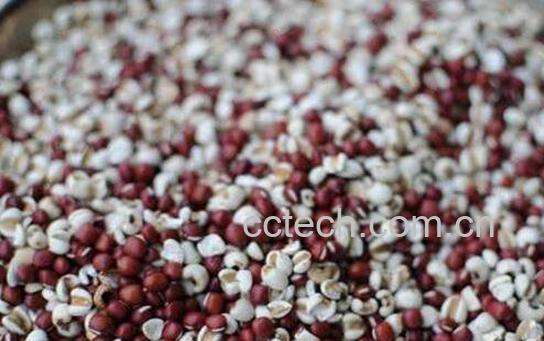 哪些食物能去湿气 常见去湿气的食物介绍-0