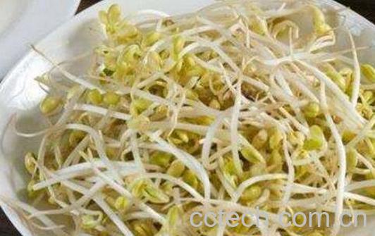 哪些食物能去湿气 常见去湿气的食物介绍-1