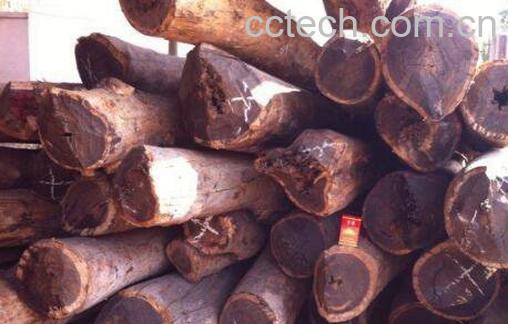 血檀的功效与作用-1