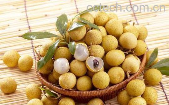 缺铁性贫血吃什么好 适合缺铁性贫血吃的食物-0