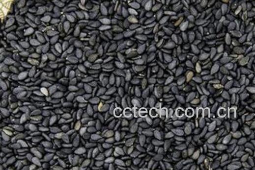 防辐射的食物有哪些-0