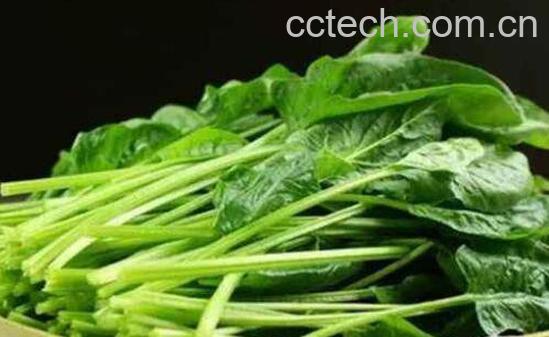 防辐射的食物有哪些-1