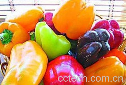 转基因食品的危害有哪些-1