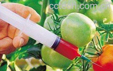 转基因食品的危害有哪些-0