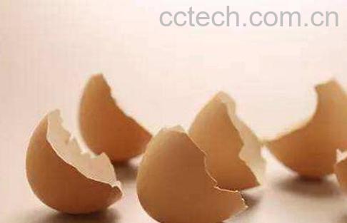 鸡蛋壳的用途有哪些-1