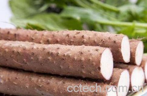 胃不好吃什么养胃 适合胃不好的人吃的食物-0