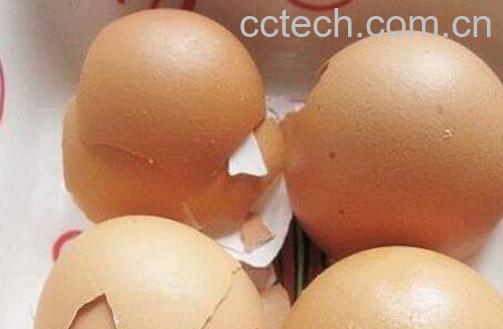 鸡蛋壳有什么用处 鸡蛋壳的用途介绍-0