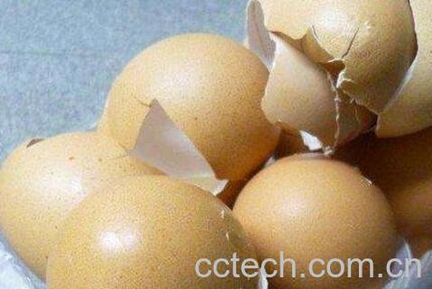 鸡蛋壳有什么用处 鸡蛋壳的用途介绍-1