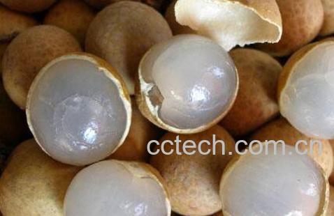 养胃的食物有哪些 养胃的蔬菜和水果介绍-1