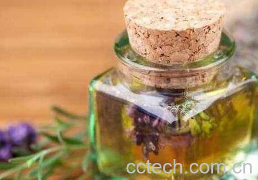 迷迭香精油的功效与作用-1