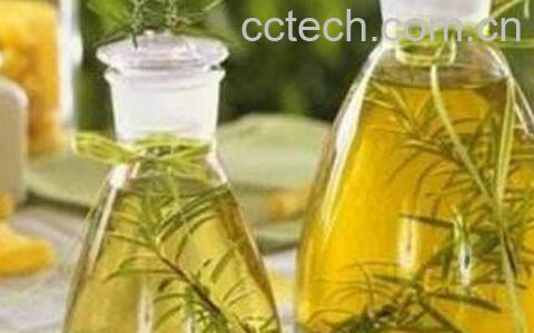 迷迭香精油的功效与作用-0