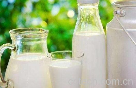 空腹喝牛奶好吗 空腹喝牛奶会怎么样-1