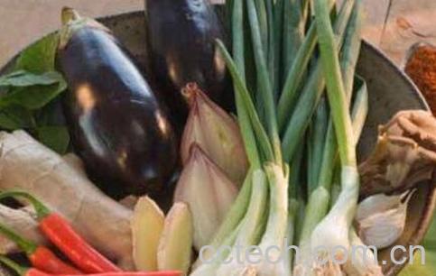 相克的食物要间隔多久吃-1