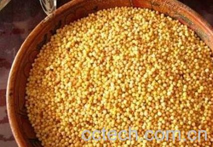  炒米怎么吃减肥效果好-1