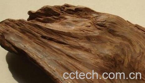 如何鉴别沉香木 沉香木的鉴别方法与技巧-1