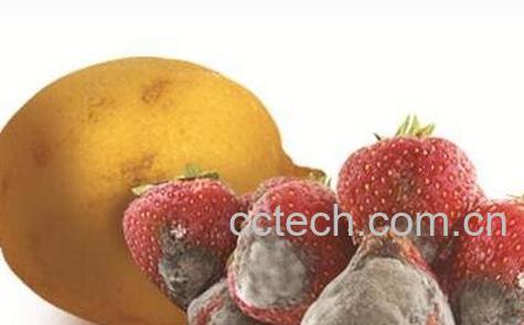 腐败变质食物的危害-0