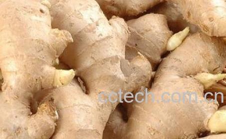 吃变质食物的危害 吃变质食物的后果-0