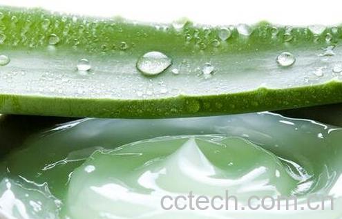 芦荟胶怎么使用效果好-0