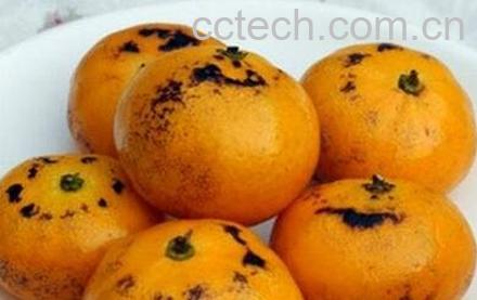 小孩咳嗽吃什么好的快-0