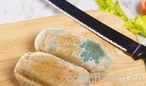 变质食物与没有变质食物区别-0