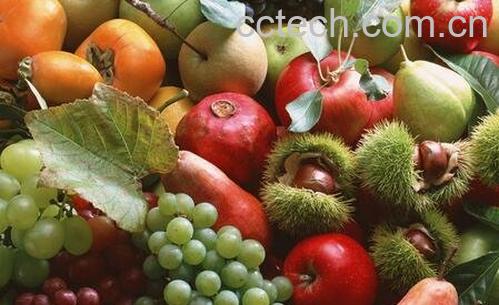 什么是阴性食物 什么是阳性食物-0