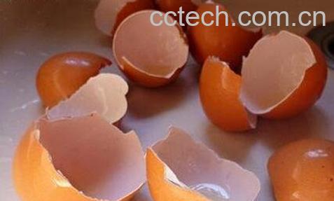 鸡蛋壳的作用-0