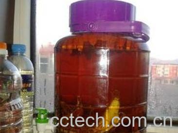 鹿茸枸杞泡酒-0