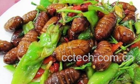 蚕蛹的功效与做法-0