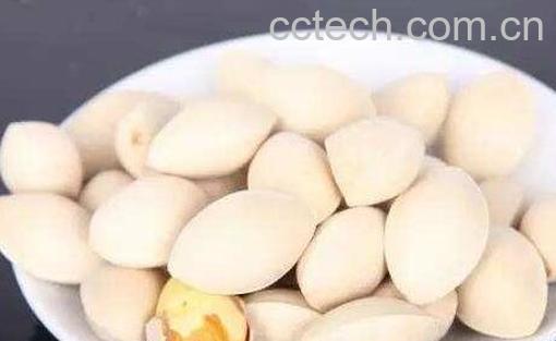 白果能祛斑吗-0