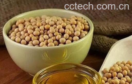 豆油的营养价值与功效-0