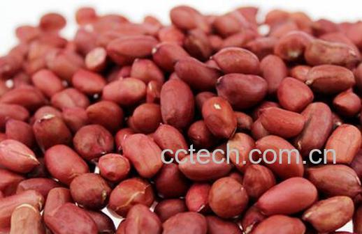 果蔬百科流鼻血吃什么好-0