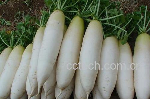 果蔬百科手冻伤了怎么办-0